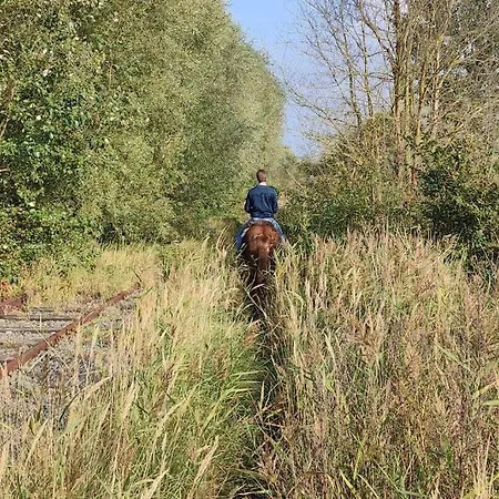 Kind -& diervriendelijk huisje incl. ontbijt De Panne Buitenkant foto